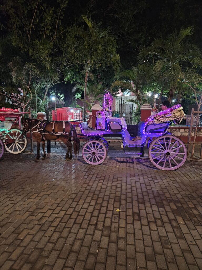 Horse drawn carriage waiting for passengers in Merida Mexico, a safe place to visit for tourists