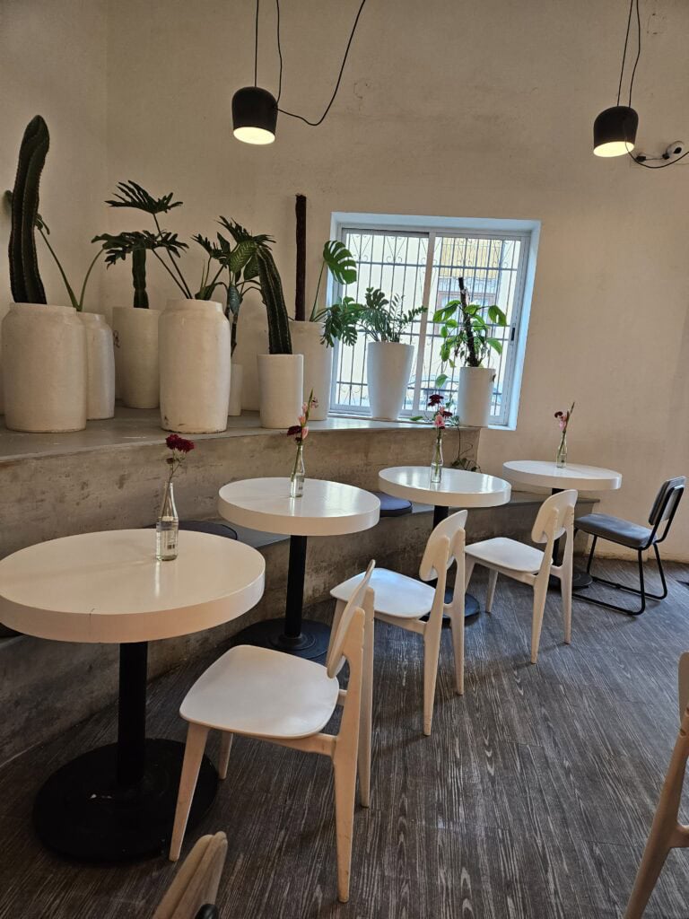 Tinoc Cafe in Merida Mexico photo of table and chairs with pink flower on each table