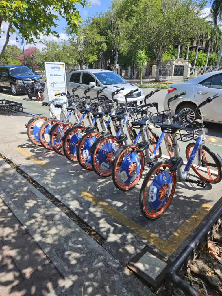 Rental bikes along the Paseo de Montejo in Merida Mexico