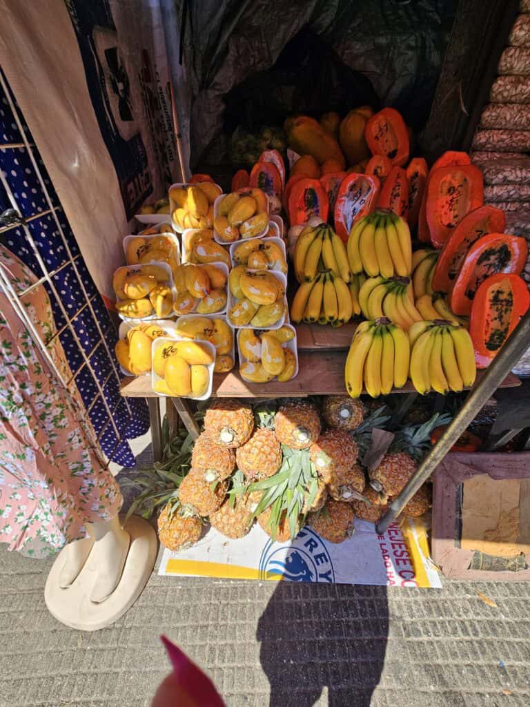 Display of fruit in the local market in Merida, Mexico