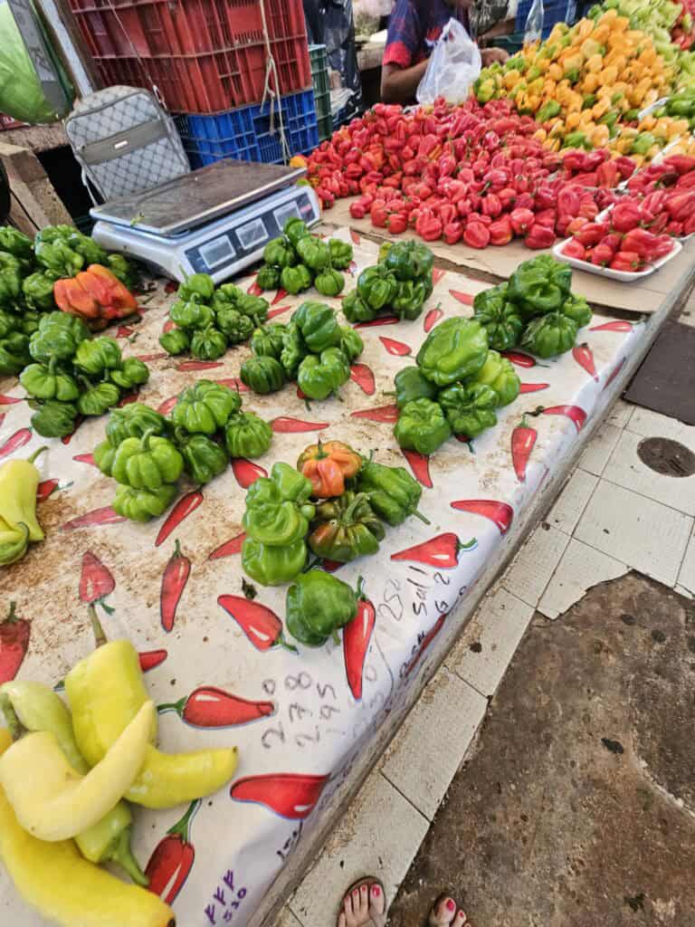 Display of peppers in local market in Merida, Mexico