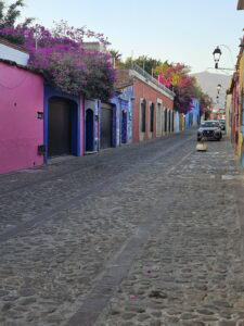 Color street in Oaxaca, Mexico colors of pink, blue, orange with trailing vines and flowers.