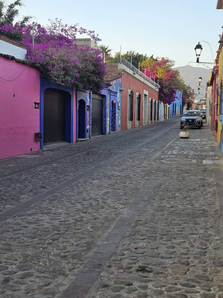Color street in Oaxaca, Mexico colors of pink, blue, orange with trailing vines and flowers.