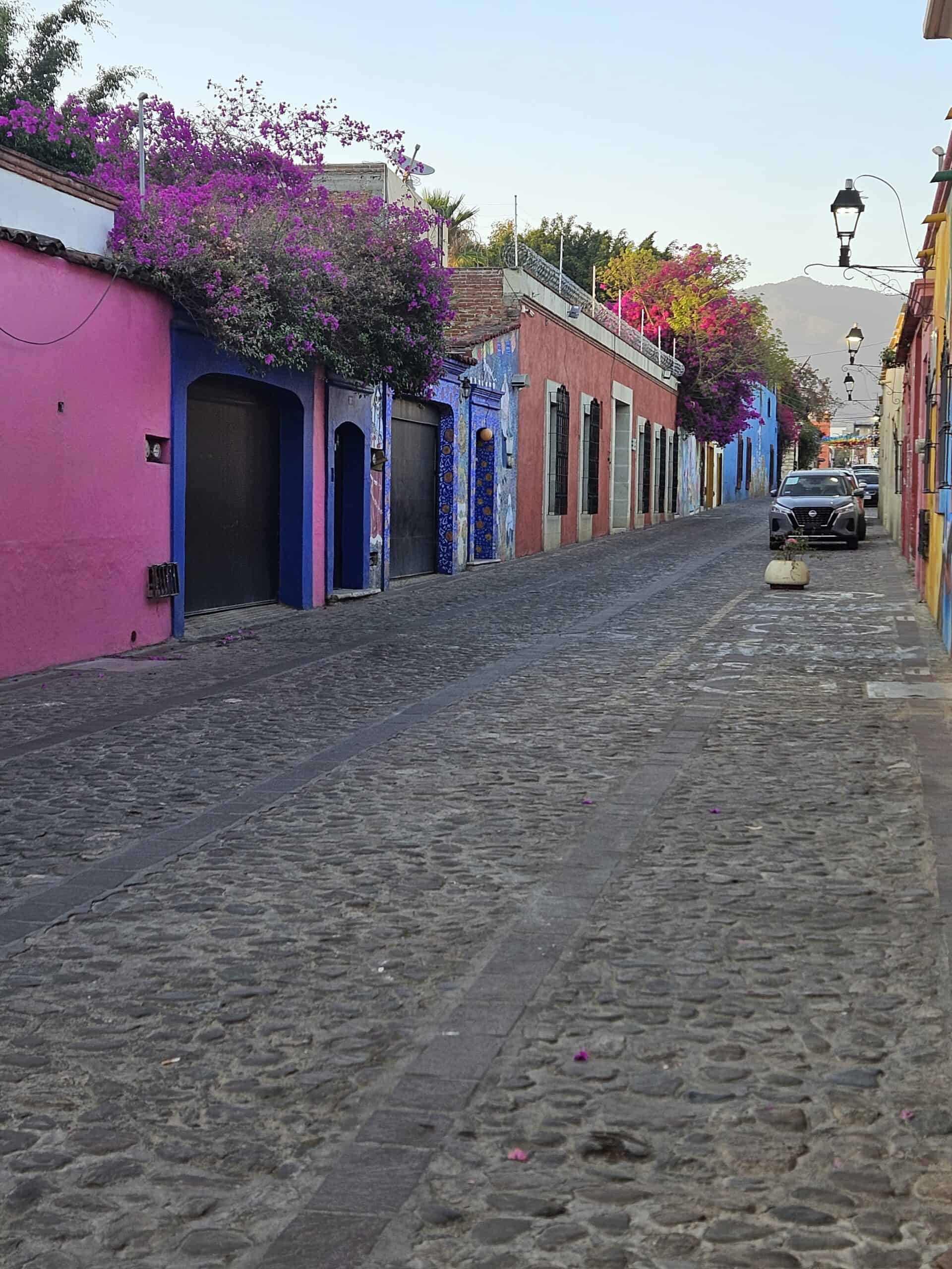 Color street in Oaxaca, Mexico colors of pink, blue, orange with trailing vines and flowers.
