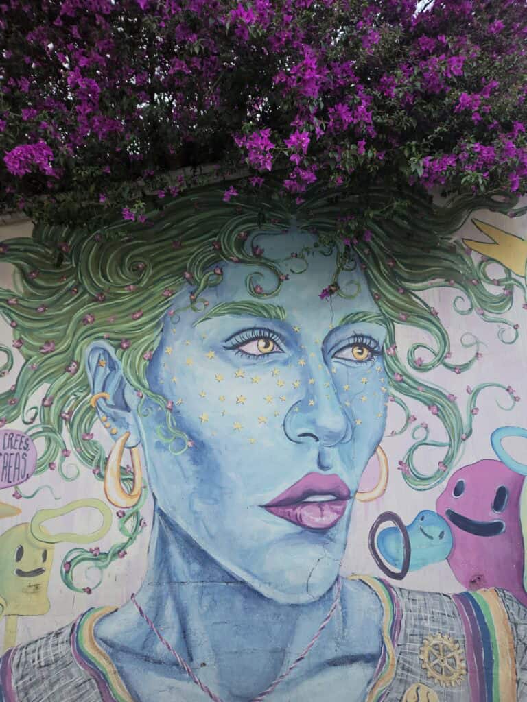 Mural or a woman painted blue with hair of gree that blends with a vine full of pink flowers found in Oaxaca Mexico