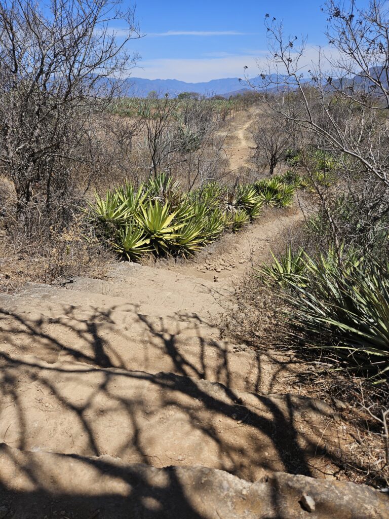 Hiking trail near Oaxaca Mexico