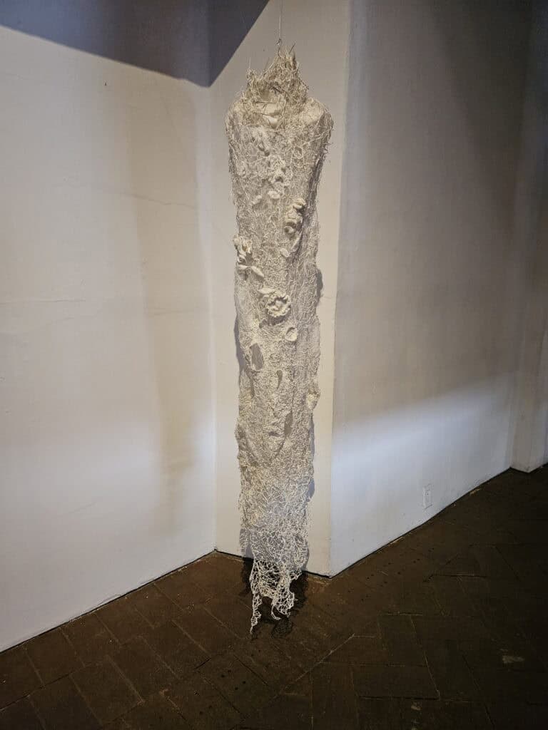 Textile piece displayed in the Museum of Textiles located in Oaxaca Mexico