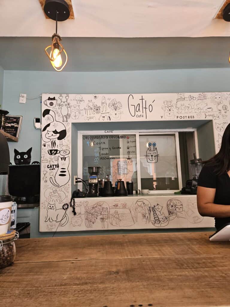 Signature wall in Gatto Cafe in Oaxaca Mexico