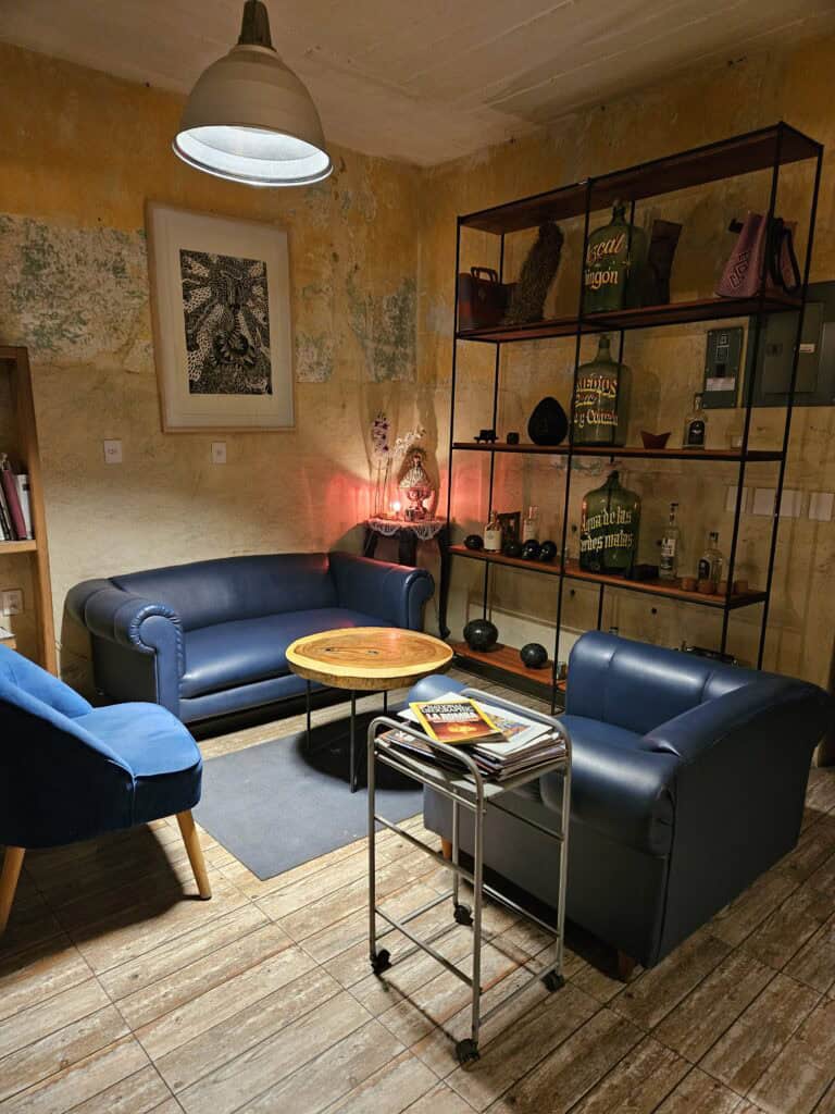 Lounge area with two leather sofas, a blue velvet chair, occasional tables and a display shelf at Goji Cafe in Oaxaca Mexico