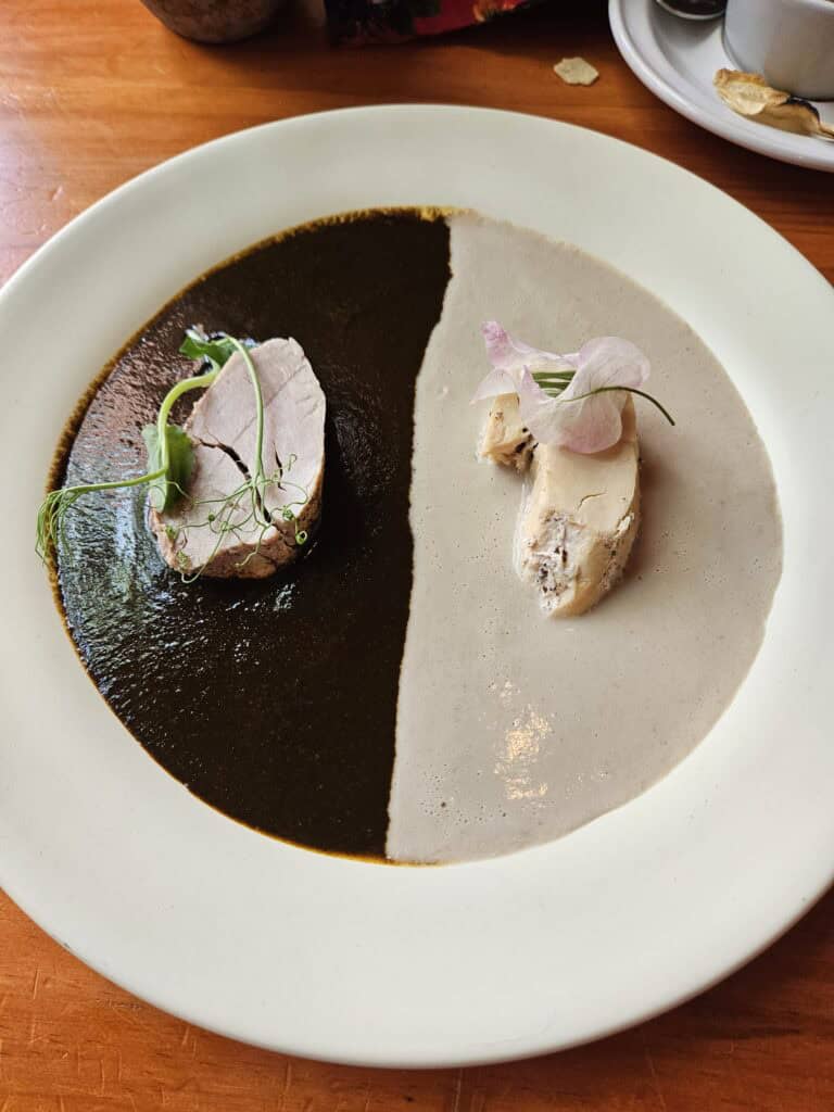 A plate with a black and white mole, divided in half with a serving of meat on each side.