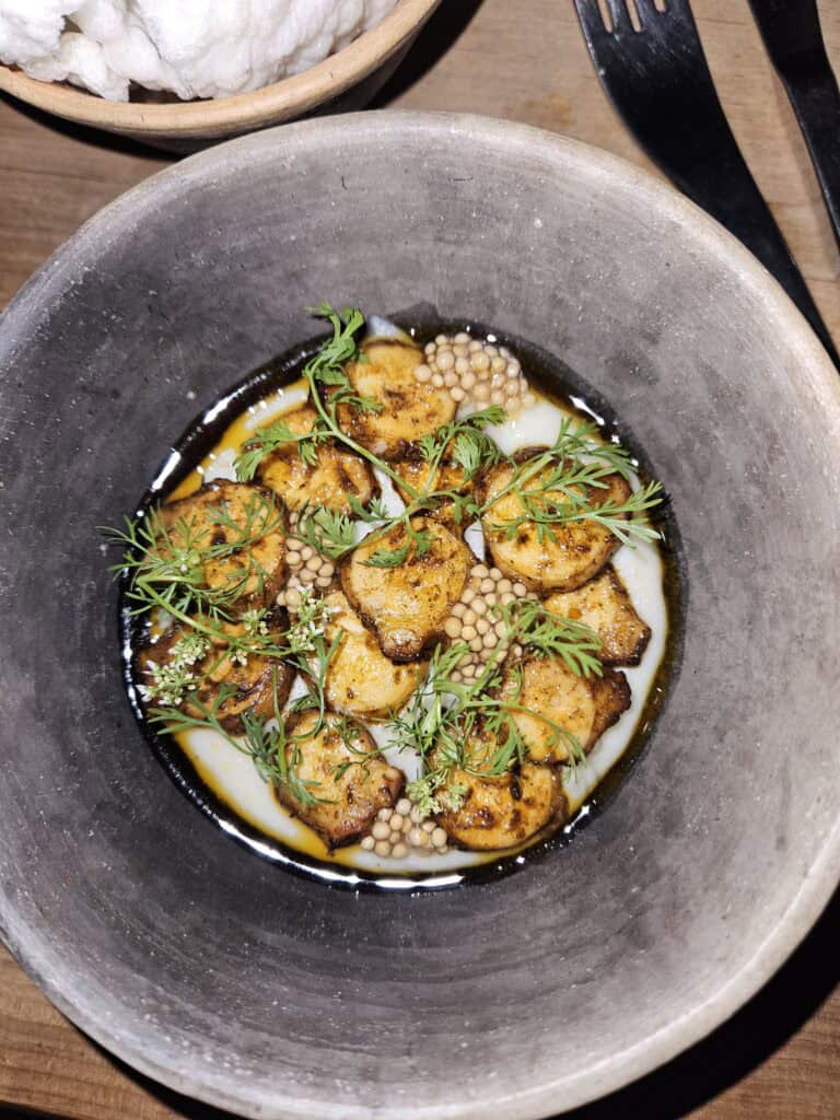 Beautiful bowl with food as part of the tasting menu at Nois Restaurant in Oaxaca