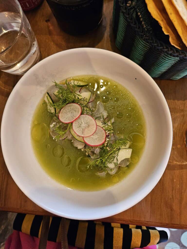 A white bowl with a green soup with garnishes of radish, cheese, and cilantro at restaurant Sabina Sabe in Oaxaca Mexico