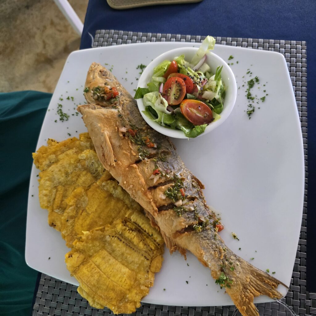 Fried fish dish at La Fisheria Restaurant in Casco Viejo Panama