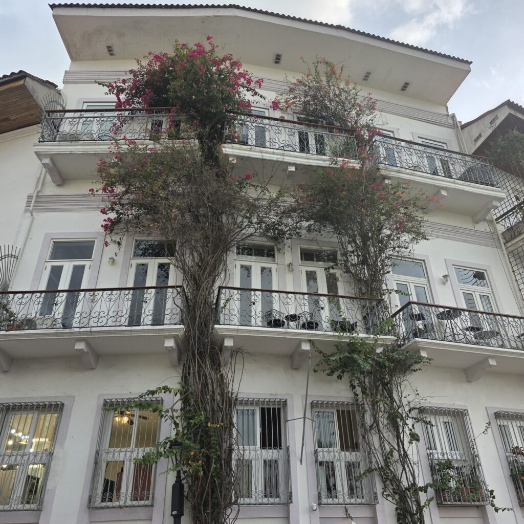 Stunning white three story building with railings, multiple doors and vines trailing from the balcony in Panama