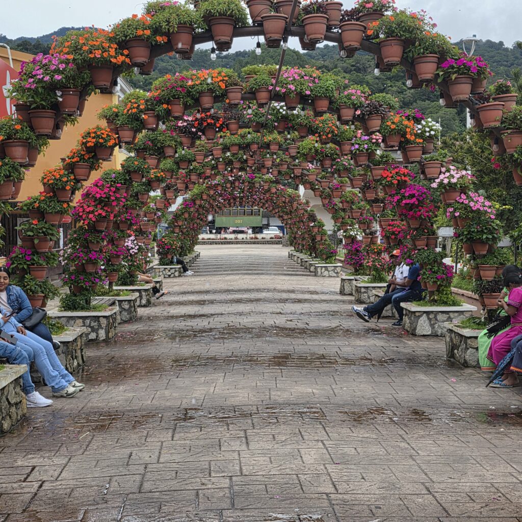 A tunnel of flowers in the main square of Boquete in Panama