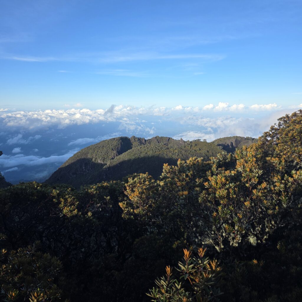 View above the clouds from the top of Volcan Baru in Panama