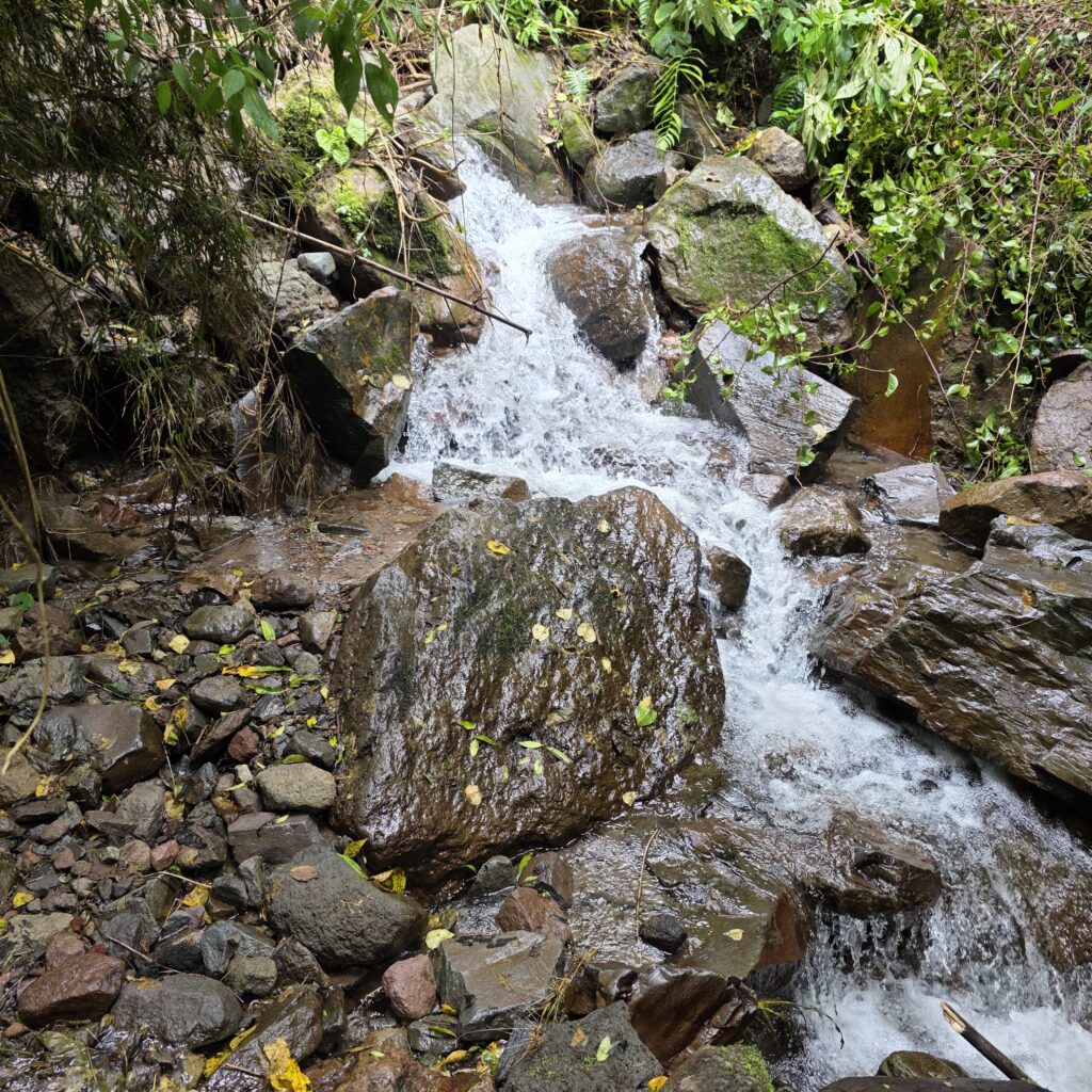 A stream along the Pipeline Trail in Boquete Panama
