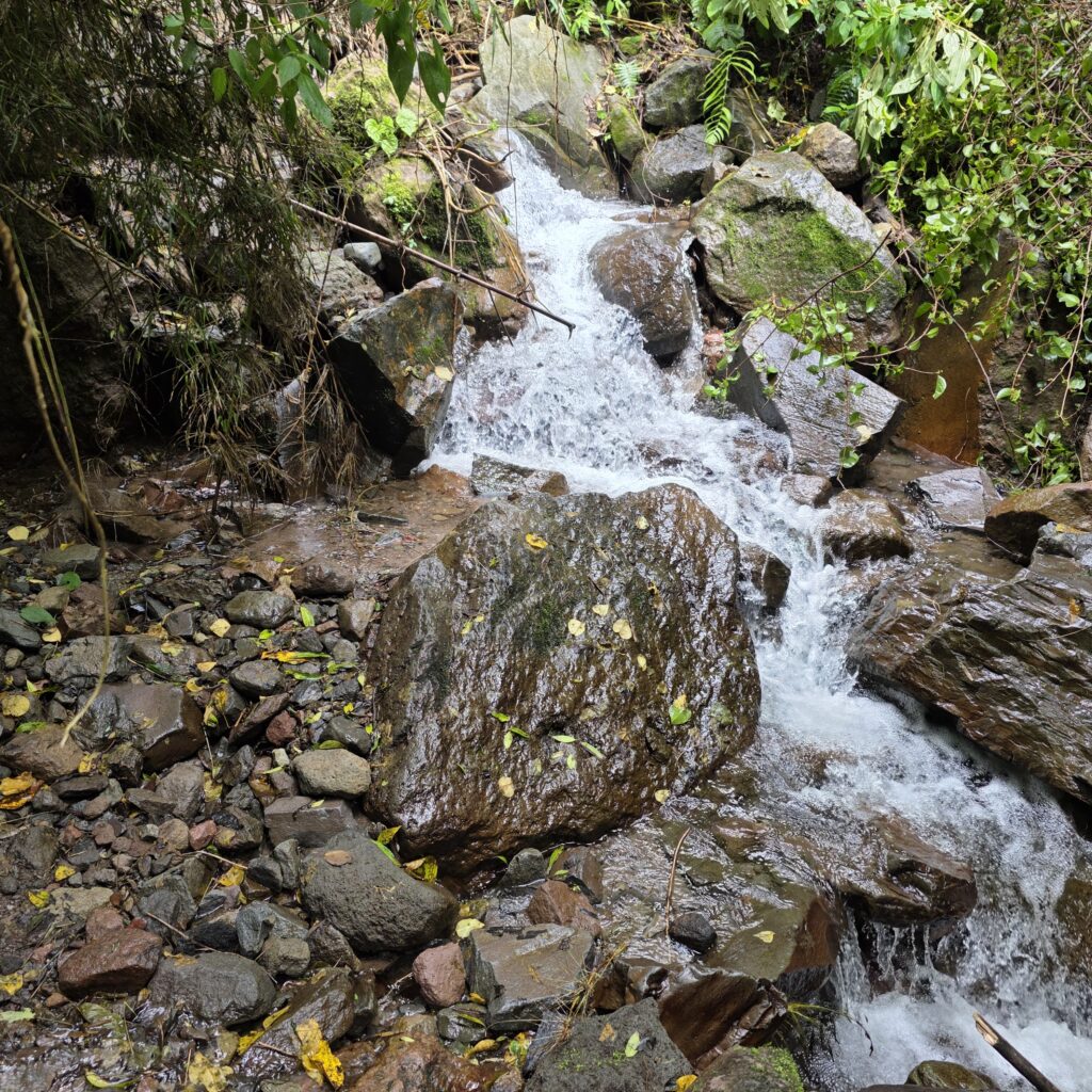Cascading stream in Panama