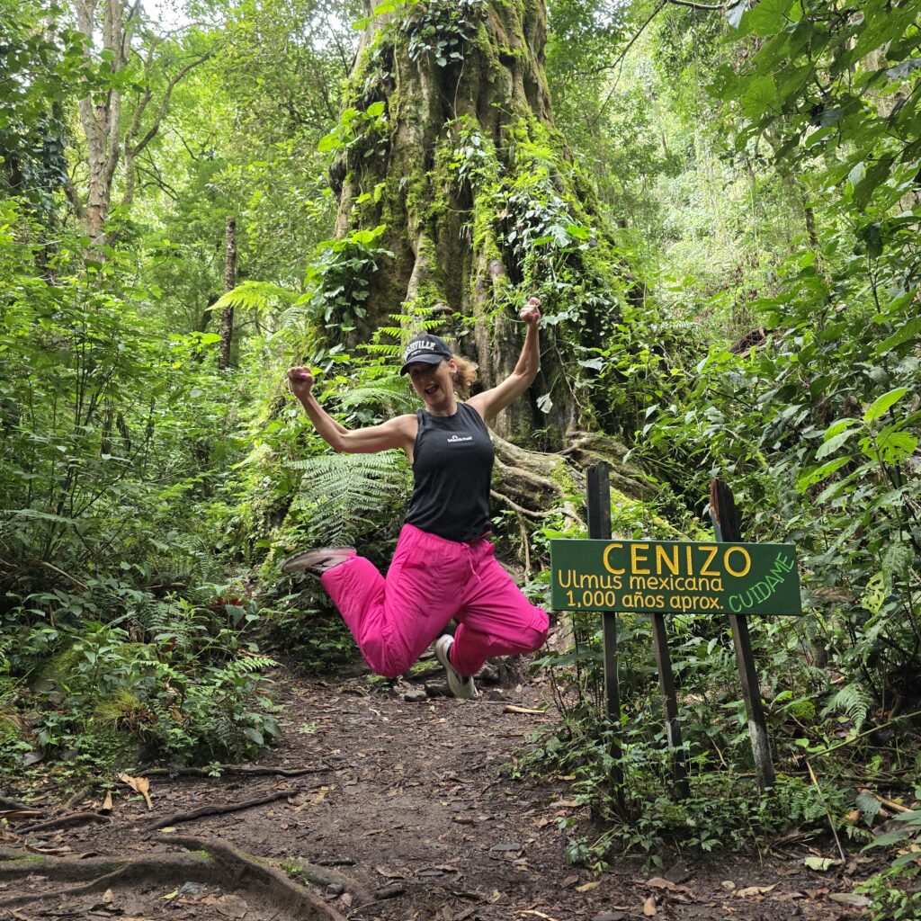 Me jumping in the air in front of an ancient tree on the Pipeline Trail in Boquete Panama